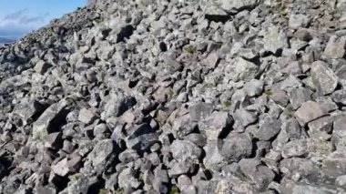 Sahra ormanları yamaçtaki aşındırıcı taşlarla kaplıdır. Buz dağılımının geniş alanlarını oluşturan yürüyüş botları