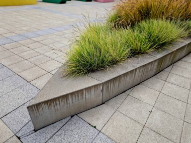 Renkli kenarlı beton yataklar. Pastel renklerde beton boya bahçeyi canlandırır.