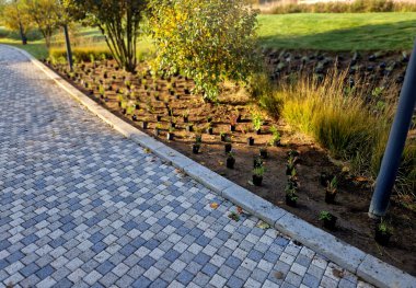 Bütün saksılar çiçek tarlasının yüzeyine yayılmış. Küçük plastik ekiciler, bahçıvanların yardımıyla toprağa gömülüyor. daimi karışımın hazırlanması