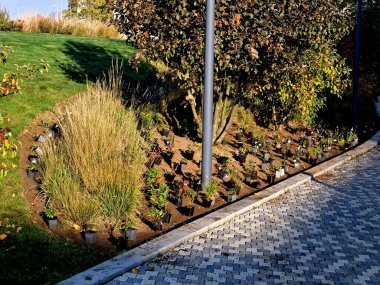 Bütün saksılar çiçek tarlasının yüzeyine yayılmış. Küçük plastik ekiciler, bahçıvanların yardımıyla toprağa gömülüyor. daimi karışımın hazırlanması