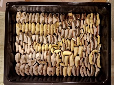 Mantar kurutma tepsisi. Dilimlenebilir mantarlar kurutulur ve mutfakta pişirmek için kullanılır. Derginin başlık sayfası için kulübe teması. arkaplan ve doku, çam