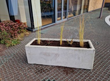 Terastaki park yerinde iki gri saksı ve bir çimenliği andıran yapay bir şey. Bir tencerede graslar ve mor çiçekler var. Restoranın yanındaki spa parkı, çimento pürüzsüz.