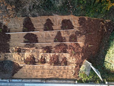 covering of the lawn sowing with textiles to ensure a large slope against erosion. using brown jute fabric stabilizing coconut net for steep slopes. in heavy rain the soil does not leach out clipart