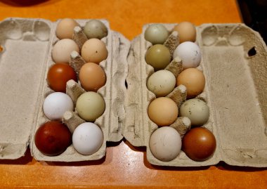 Çeşitli tavuk türlerinden yumurtalar. Kahverengiden beyaza çeşitli tonlarda. Çiftlikteki kağıt bir torbada yeşilimsi yumurtalar bile.