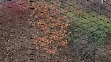 Terrace fencing, railings of metal pipes filled with steel cables cable mesh. fencing wire stainless steel fence. wooden floor, dance floor in the park, tech, cable, screw, eyelet