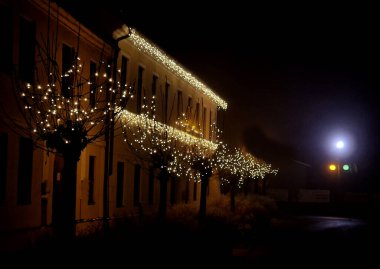 Şehrin ana caddesindeki ağaçlar. Karanlıkta beyaz ışık ve çelenklerle parıldarlar. LED ışıklandırma çok ucuza Noel kış atmosferi yaratacak..