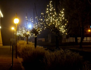 Şehrin ana caddesindeki ağaçlar. Karanlıkta beyaz ışık ve çelenklerle parıldarlar. LED ışıklandırma çok ucuza Noel kış atmosferi yaratacak..