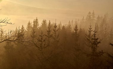İnce metal korkuluklu, turuncu sisli bir gün batımı. Dağlarda özgürlüğün reklamını yapmak ve tek başına seyahat etmek. Ladin ağaçlarının tepeleri ana hatlara dönüşür.