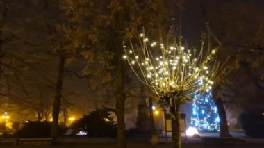 Şehrin ana caddesindeki ağaçlar. Karanlıkta beyaz ışık ve çelenklerle parıldarlar. LED ışıklandırma çok ucuza Noel kış atmosferi yaratacak..