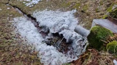 Barajın yanındaki şelalenin altındaki buz krallığı. Derenin dondurucu damlalarından yapraklar. Benzer şekilde çayırda, çiftliğin yakınındaki dağlarda içme suyu kuyusunda.