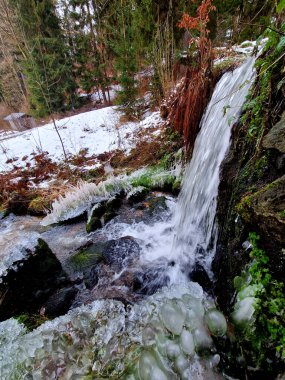 Buzul krallığı barajın yanındaki şelalenin altında. Derenin dondurucu damlalarından yapraklar. Benzer şekilde çayırda, çiftliğin yakınındaki dağlarda içme suyu kuyusunda.