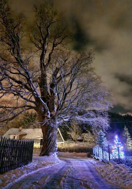 christmas atmosphere snowy road and old trees. however, someone decorated a small spruce with ice chains. a snowdrift by a lamp on the street clipart