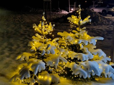 Otoparkın yakınındaki ağaçların ve çalıların düzgün dekorasyonu, garaj yolları karla kaplı. Parlar ve hoş bir şekilde çevreyi aydınlatır. Çocukların sevdiği bir eğilim.