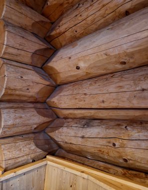 Marangoz pürüzlü kirişlerle ahşap bir kulübe inşa etti. Tahta planlama daha önce yapılmamıştı. Hakiki işçilik ahşap kulübe. Çatı kirişleri yerleştirmek için kullanılan izler. Tahta oyma, balta kesme,