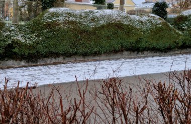 Çalıları şekilsiz şekillerde kesmek taş ya da yün gibidir. Sokaklarda, spa tarzı kusursuzca inceltilmiş biçimlerdir. Serpiştirilmiş kar, bahçe düzenlemesi.