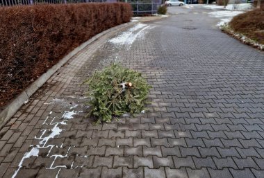Noel 'den sonra, sokaklarda ve çöp kutularında bir sürü Noel ağacı var. Yakma fırınına götürülmeden önce yolda yatıyorlar ve trafiği tehlikeye atıyorlar.