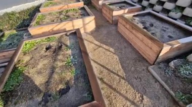 Yamaçtaki ön bahçede ahşap kaplı sebze yatakları. gübre kumaşı ot büyümesi, tepe ve erozyon kontrolüne karşı korur