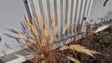 Bina kare panellerle kaplı. Metal kaplama, deniz tarağı desenli. Bükülmüş çarşaf, koyu gri, perçinlenmiş. yatay çizgiler, gölgeler, köşe, çit, alüminyum, çarşaf, otel terası