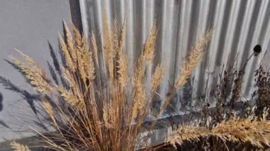Bina kare panellerle kaplı. Metal kaplama, deniz tarağı desenli. Bükülmüş çarşaf, koyu gri, perçinlenmiş. yatay çizgiler, gölgeler, köşe, çit, alüminyum, çarşaf, otel terası