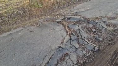 Asfalt asfalt asfalt, kökleri ile yol yüzeyini yavaş yavaş yok eden eski kavak ağaçlarına çok yakın inşa edilir. Güçlü kökler üzerinde, çatlaklar biçimlenir ve büyük tümseklerin içinden çıkar.