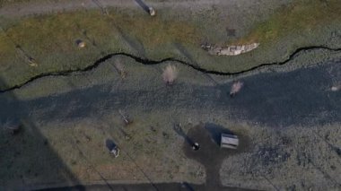 Tahta, büyük park bankının şekil bloğu granit doğal kaldırım taşı üzerinde metal bacaklı düzensiz kahverengi asfalt yaya bölgesi meşe ağacından prizma tek parça gövde, ızgara yerinden, oval