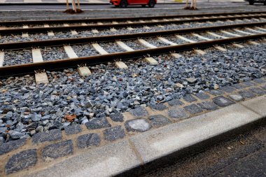 Tramvay hattı boyunca ağaç dikmek. Gri çakıllar pistin kenarını kaplıyor. Dikilen ağaçların gövdelerini kaplamak onları bahar güneşinden ve soğuktan korur.