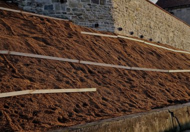 Çimento karıştırıcısının uzun düz duvarı. Duvarın arkasında duvarın içinden drenaj borularıyla çıkarılan toprak var. Kanalizasyon borusu çekiliyor. İnşaat alanı, mezarlık, gabion.