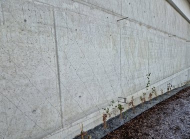 Balkonlu ön cephede tüm binayı kaplayan gergin bir kablo ağı var. Elektrik gerilim yalıtıcıları. Binanın köşeleri kemer şeklinde, yuvarlak. Örgülü ağ. Çakıl, saman, ağaç kabuğu.