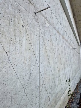 Balkonlu ön cephede tüm binayı kaplayan gergin bir kablo ağı var. Elektrik gerilim yalıtıcıları. Binanın köşeleri kemer şeklinde, yuvarlak. Örgülü ağ. Çakıl, saman, ağaç kabuğu.