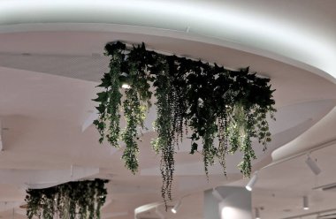 Kapalı alandaki çiçekler karst mağaralarındaki gibi çelenklerde asılı. Mağaza, pankart, temiz, ekoloji, kozmetik endüstrisi.