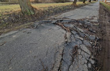 Asfalt asfalt asfalt, kökleri ile yol yüzeyini yavaş yavaş yok eden eski kavak ağaçlarına çok yakın inşa edilir. Güçlü kökler üzerinde, çatlaklar biçimlenir ve büyük tümseklerin içinden çıkar.