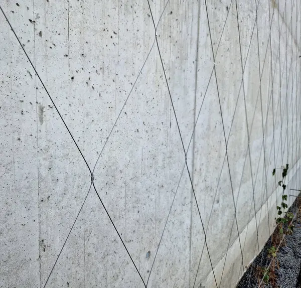 Balkonlu ön cephede tüm binayı kaplayan gergin bir kablo ağı var. Elektrik gerilim yalıtıcıları. Binanın köşeleri kemer şeklinde, yuvarlak. Örgülü ağ. Çakıl, saman, ağaç kabuğu.