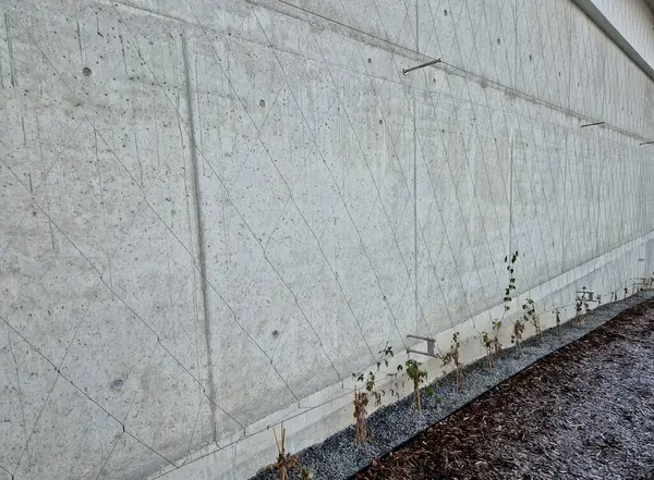 Balkonlu ön cephede tüm binayı kaplayan gergin bir kablo ağı var. Elektrik gerilim yalıtıcıları. Binanın köşeleri kemer şeklinde, yuvarlak. Örgülü ağ. Çakıl, saman, ağaç kabuğu.