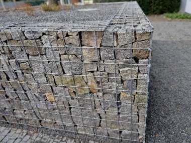 Periwinkle, köpek familyasına ait geniş yapraklı bir bitki örtüsüdür. Avrupa ve Kafkasya 'ya özgüdür ve sürünerek yayılan bir alışkanlığı vardır.. 