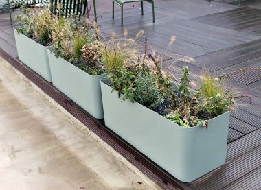 Tahta bir terasta gri plastikten yapılmış kendi kendine sulandırıcı kaplar otlar ve cüce formunda çam ağaçları ekilmiş. Duvarda bir sıra dikdörtgen çiçek saksısı.