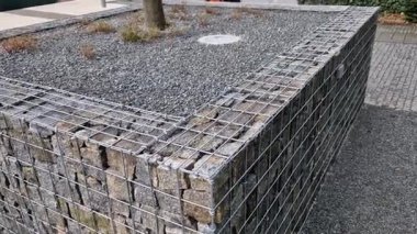 Periwinkle, köpek familyasına ait geniş yapraklı bir bitki örtüsüdür. Avrupa ve Kafkasya 'ya özgüdür ve sürünerek yayılan bir alışkanlığı vardır.. 