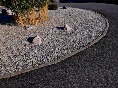 Jumbo, yumuşak yeşil, sivri yapraklı, yaklaşık 10 cm uzunluğunda, kamışların üzerinde zarif bir şekilde asılı duran ve rahat bir görünüm sunan eski bir bambu favorisi. Genç bastonlar yeşildir ve sarıya dönüşürler. istilacı veranda