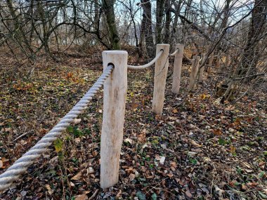 The flowering flower bed in the city park blooms here with blue and yellow flowers, which are separated from the road by a rope fence with wooden posts. The edge flower bed, zoo, eyelet, climbing clipart