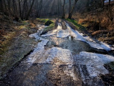 Ormanlık bir vadide, toprak bir yolda, bir su parkında yürüyorum. Buz ve kar yolu daha az geçilebilir kılıyor.