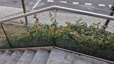 Cam korkuluklar paslanmaz çelik boru çerçevesine yapışmış ve vidaların yardımıyla yapıştırılmış güvenlik camına bağlanmış. Arka planda otlar olan bir çiçek tarhı, çatı bahçesi terası