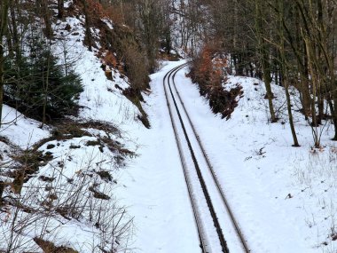 Demiryolu meraklıları trenlerin fotoğraflarını çekmeye ve izlemeye giderler. Karlı dağlardaki dik tepeleri tırmanan çark izleri. İnsanlarla ve tünellerle gerçekçi polistiren modeller oluştur