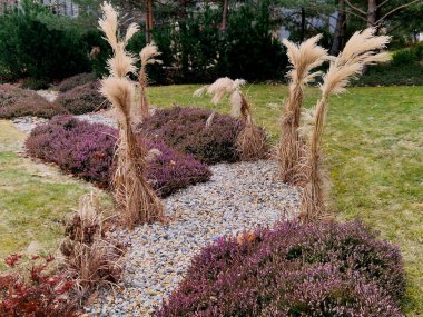 Süslü su nilüferleri ve kıyı şeridinde otlarla özel bir bahçede süslü bir gölet. Yazın çocukların oynaması için uygun çakıl taşı plajı.