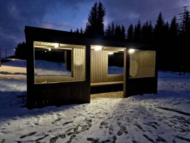 Otobüs durağındaki kırmızı külah şapkalı cüce cin. Bir maskeli balo ya da liputian partisi. Büyük pencereli, çizgili ahşap kaplama bir ev ve sıcak gece ışıkları. Halüsinasyon, sürüş