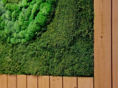 Restoran duvarındaki yosun tabakası, evinizin doğası. Mumyalanmış yosunlardan yapılan resimler iç kısımlara orijinal bir eklenti. Yosun mumyalanmış ve tamamen bakım amaçlı.