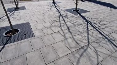 trees planted in a large paved area of the pedestrian zone pavement need to breathe roots and therefore there are larger cracks between the blocks with gravel rainwater can soak up, reed mat, bark
