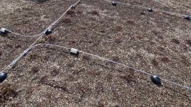 Yıldırım kondüktörü binaları yıldırımlardan korumak için kullanılır. Bir eve zarar verebilecek ya da elektrik teçhizatı yeşil bahçe çatısının en yüksek noktalarına yönlendirilir. Çim, çiçek, çayır, tohum...