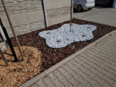 Yeni bir yerleşim alanına park ve ağaç dikme. Kaldırım taşları suyu emer ve ağaç da çakıl taşları ve odun parçacıklarıyla samanlaşır. Plastik kaldırım