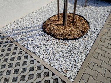 Yeni bir yerleşim alanına park ve ağaç dikme. Kaldırım taşları suyu emer ve ağaç da çakıl taşları ve odun parçacıklarıyla samanlaşır. Plastik kaldırım