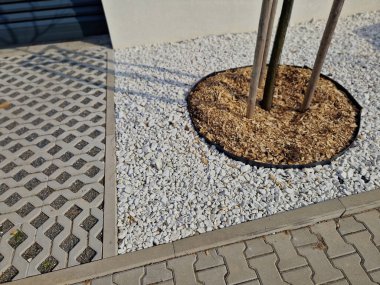 Yeni bir yerleşim alanına park ve ağaç dikme. Kaldırım taşları suyu emer ve ağaç da çakıl taşları ve odun parçacıklarıyla samanlaşır. Plastik kaldırım