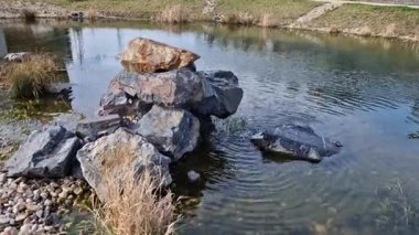 Süslü su nilüferleri ve kıyı şeridinde otlarla özel bir bahçede süslü bir gölet. Yazın çocukların oynaması için uygun çakıl taşı plajı.